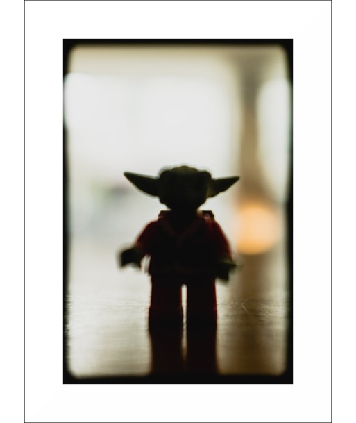 Photo 'Yoda' Les êtres humains sont 