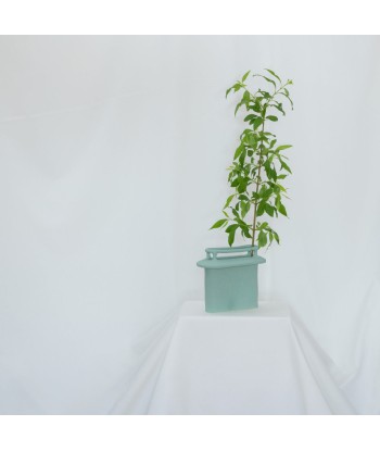 The chimney vase - vert pale sur le site 