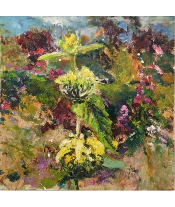 Ellen GEERTS : Jardin 4 - Phlomis (Tableau, huile sur bois) 50-70% off 