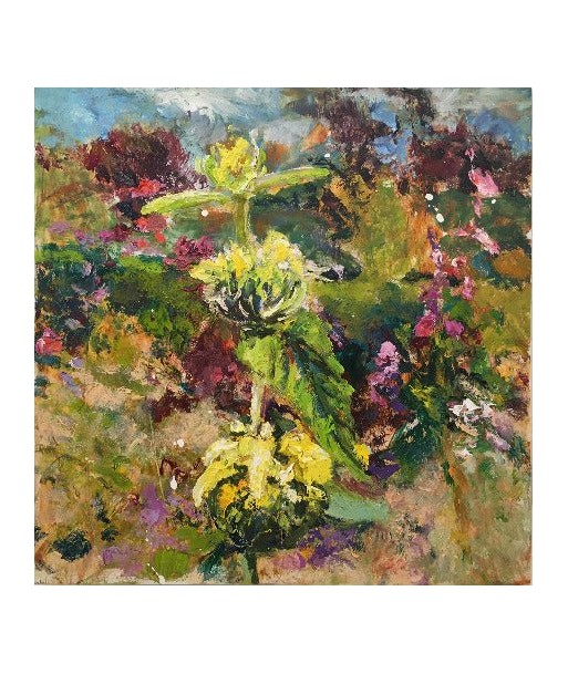 Ellen GEERTS : Jardin 4 - Phlomis (Tableau, huile sur bois) 50-70% off 