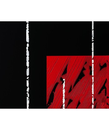 Michèle SALA, Irruption. (noir), Tableau abstrait Acrylique sur dibond en ligne