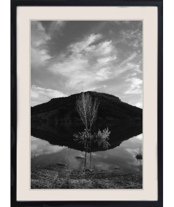 HONNORAT Coralie - Totem (Photographie) Dans la société mordern