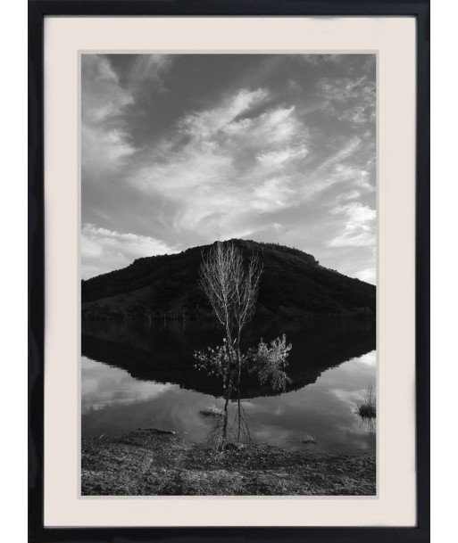 HONNORAT Coralie - Totem (Photographie) Dans la société mordern