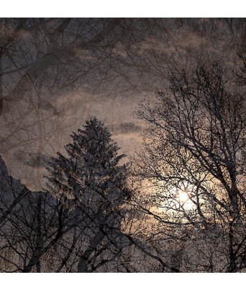 MAZARÉ Edouard - La fin de l hiver (Photographie) Toutes les collections ici