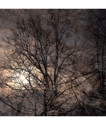 MAZARÉ Edouard - La fin de l hiver (Photographie) Toutes les collections ici